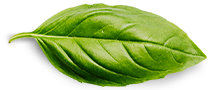 Clean Better . Live Better Basil Leaf